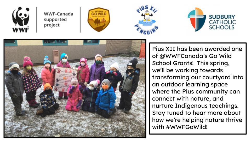 Kindergarten Class at Pius XII School Wins School Grant with WWF-Canada!